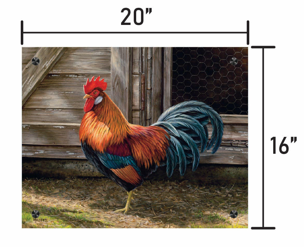 Light Brown Chicken Rooster
