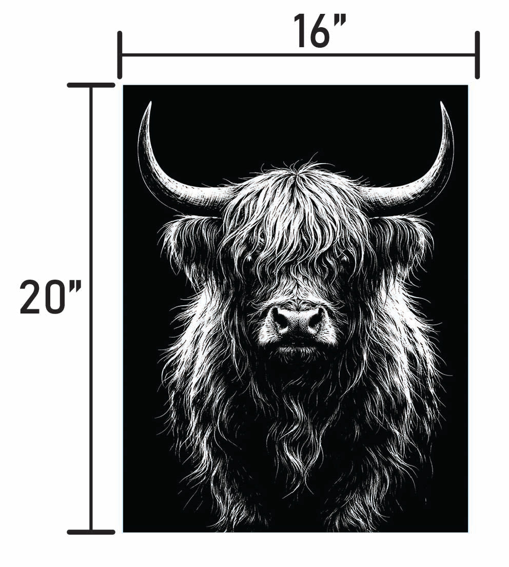 B&W Higlinder Cow 3