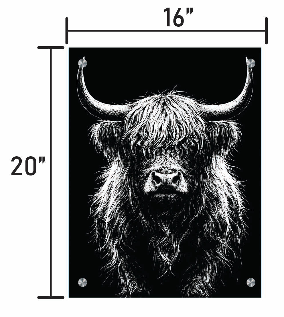 B&W Higlinder Cow 3