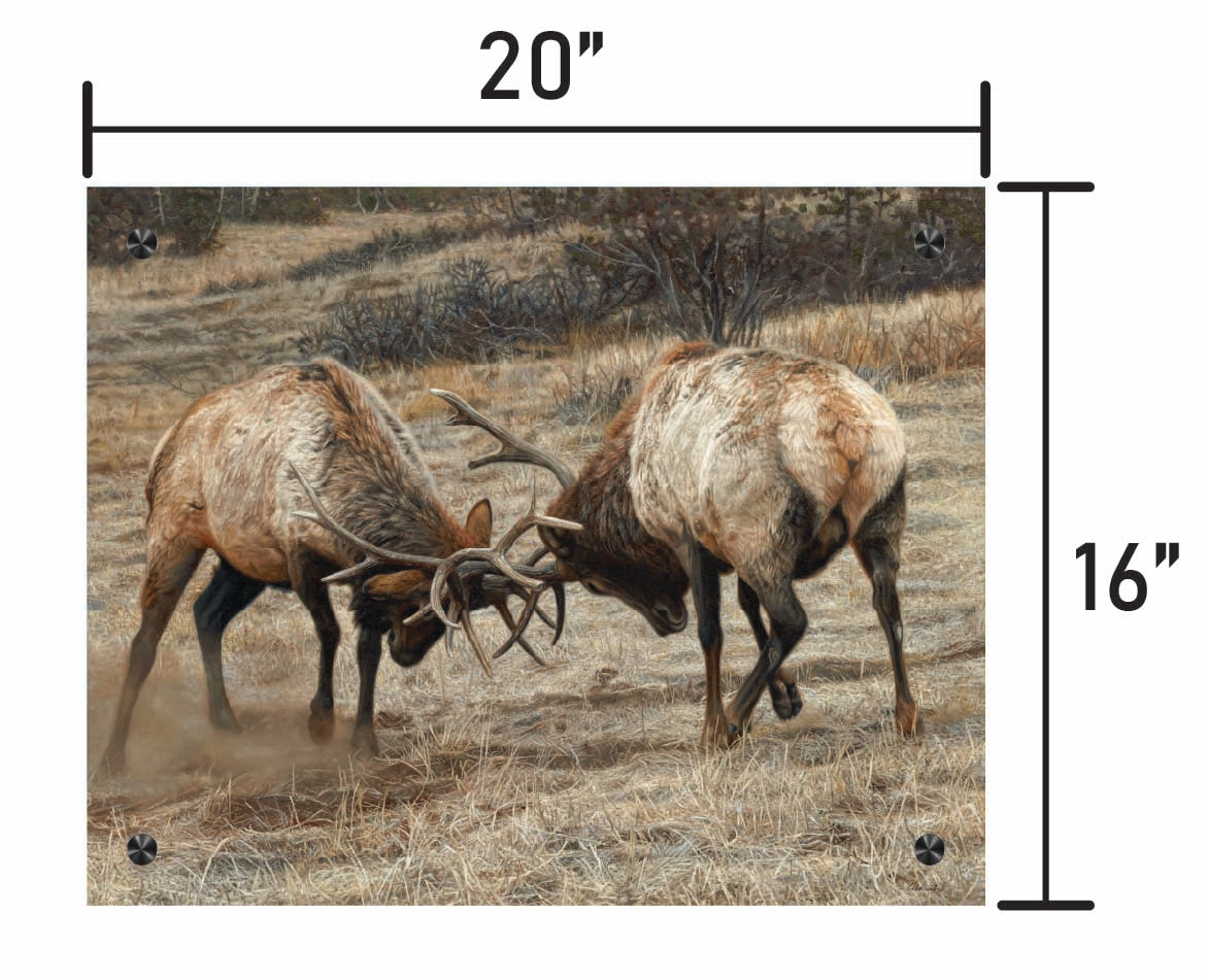 Anything for Love - Elk