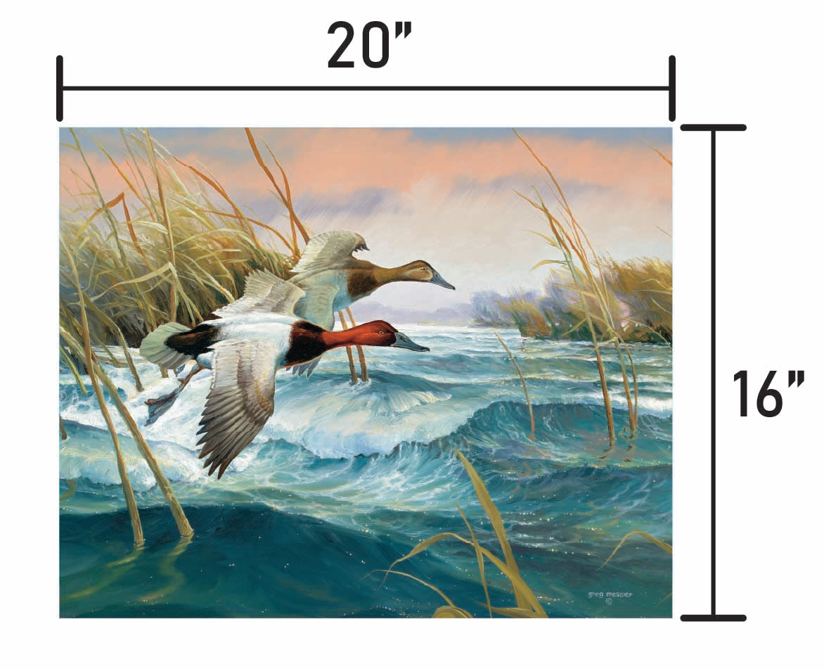 Wave Runners-Canvasbacks