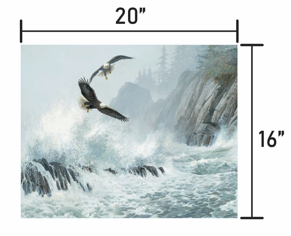Storm Riders-Bald Eagles