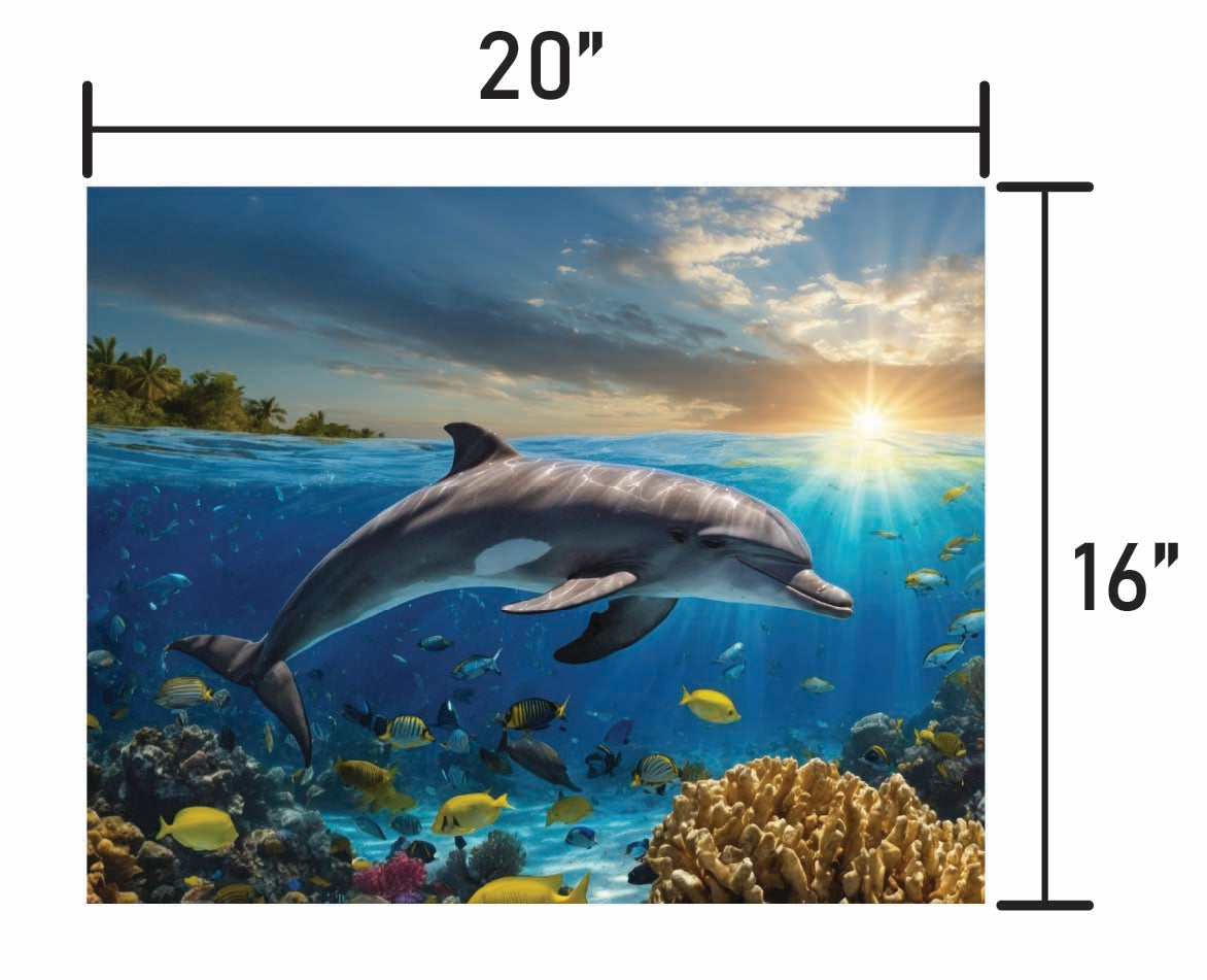 Dolphin Swimming in Coral