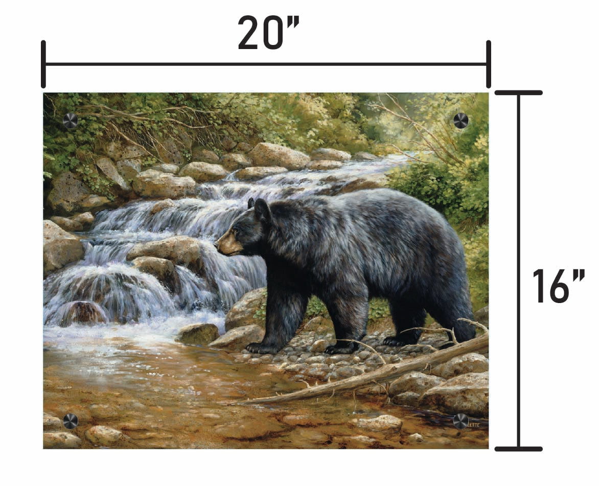 Shadow of the Forest