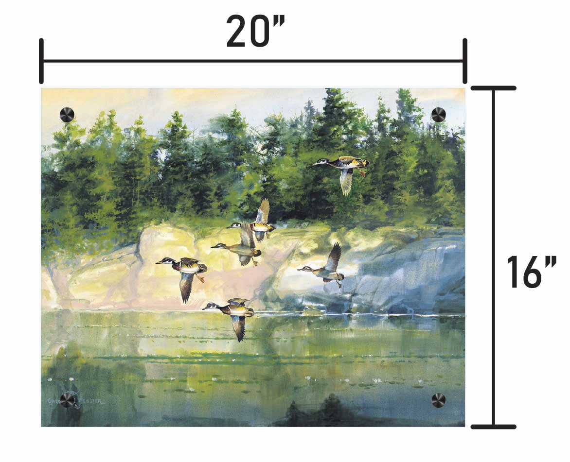 The Woodies-Wood Ducks