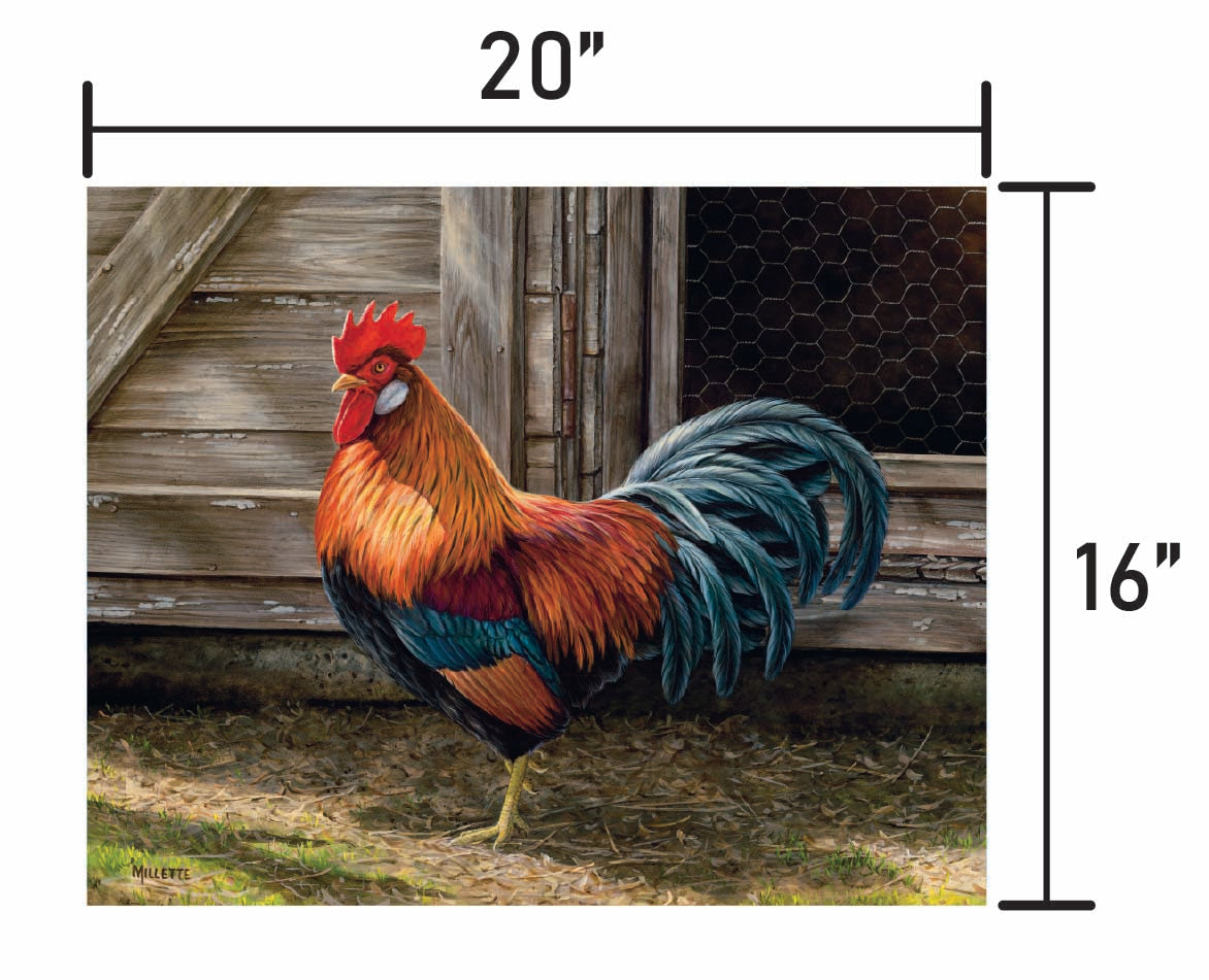 Light Brown Chicken Rooster