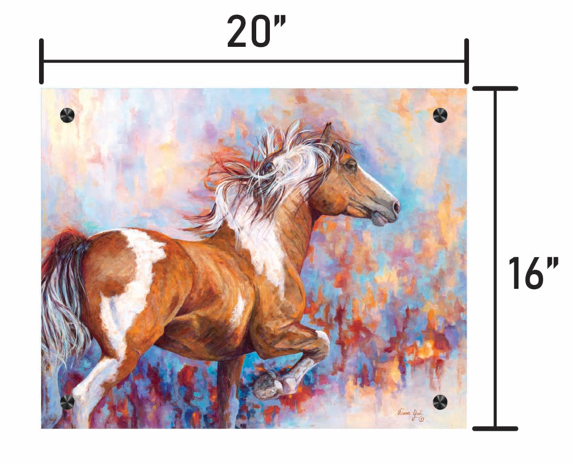 Paint Horse