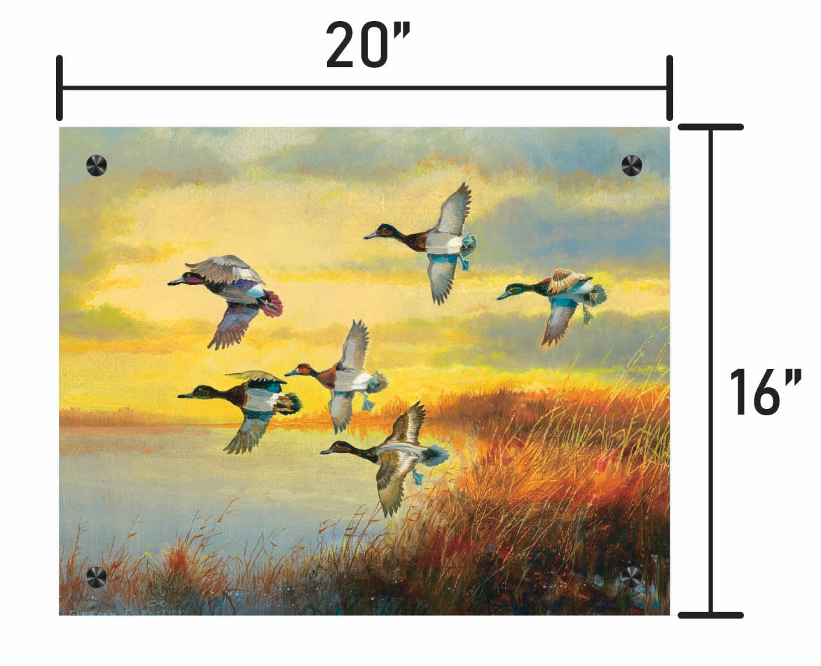 Autumn Sunrise-Bluebills