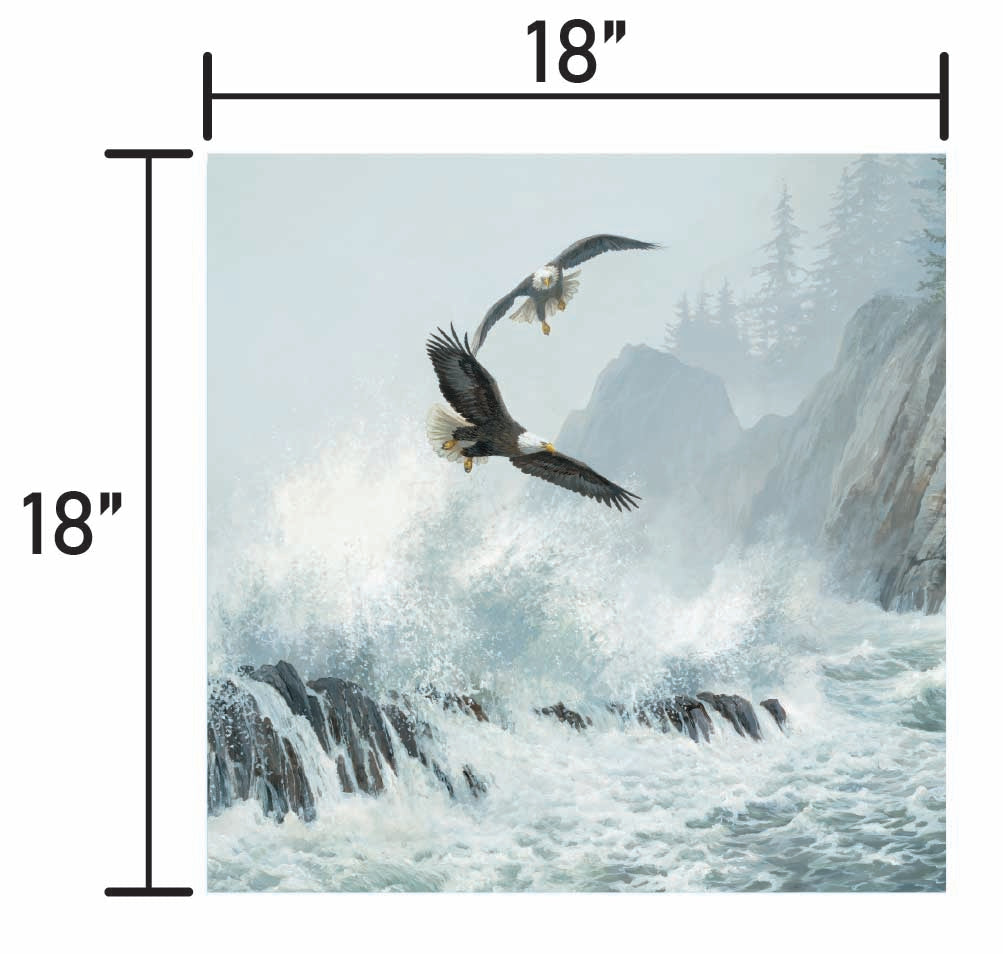 Storm Riders-Bald Eagles