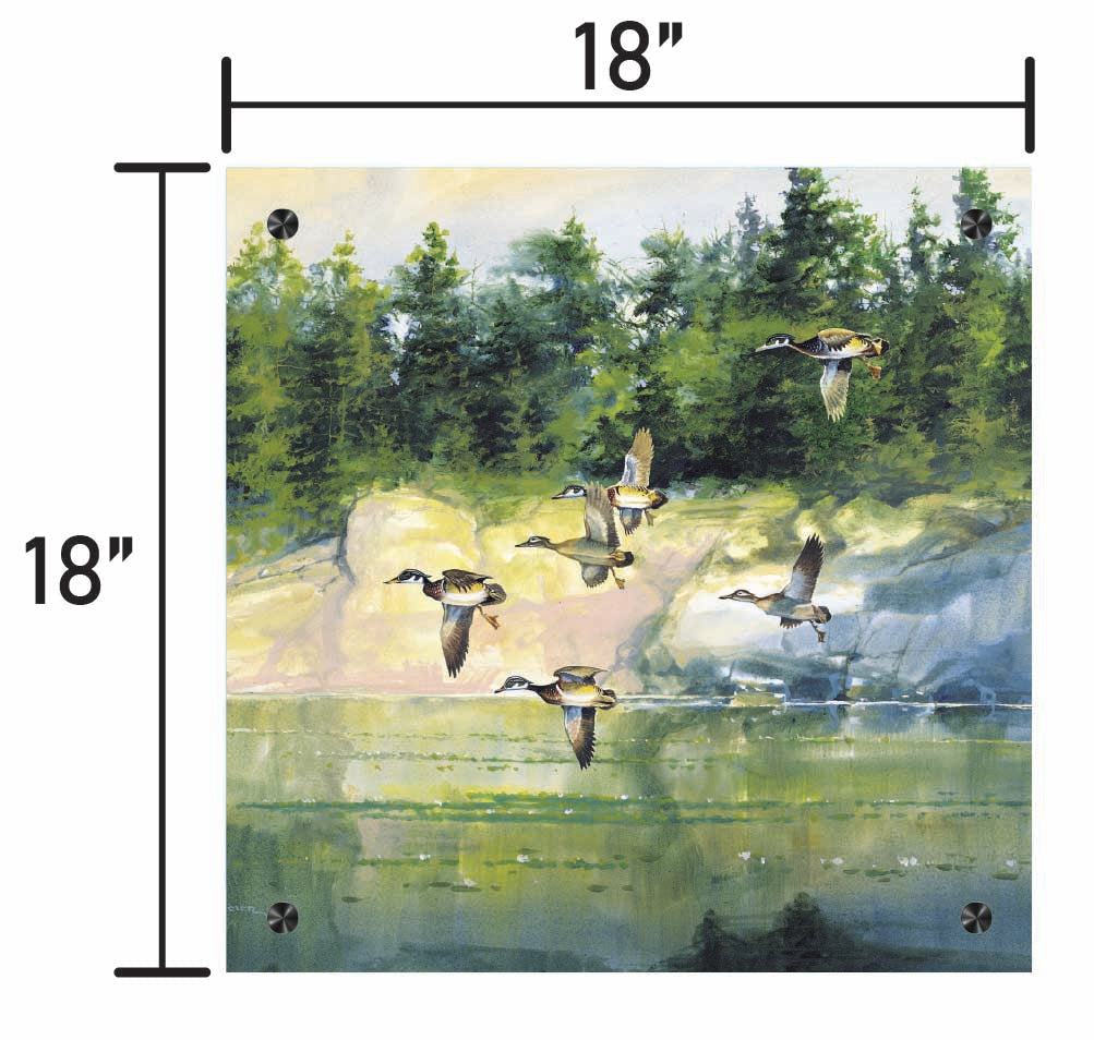 The Woodies-Wood Ducks