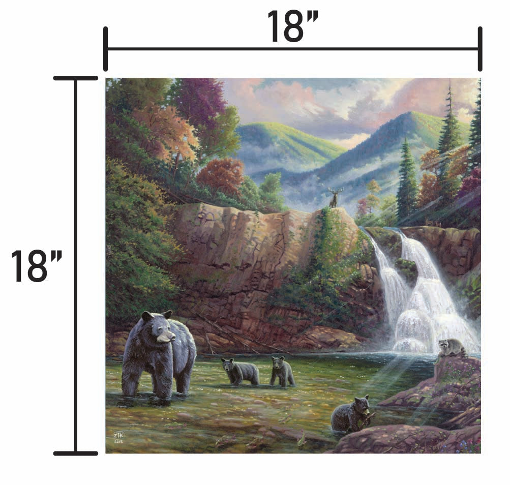 Spirit of the Smokies