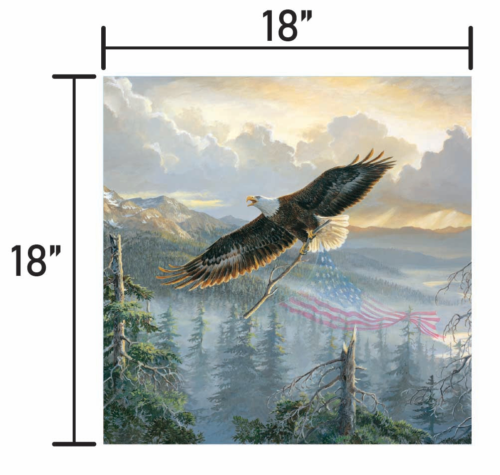 Rebuilding America-Bald Eagle