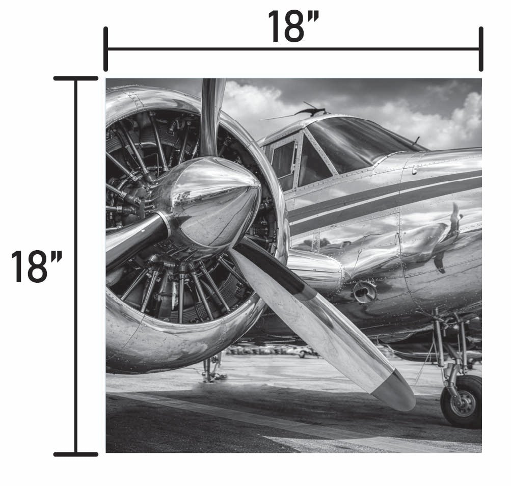 Silver Thunder