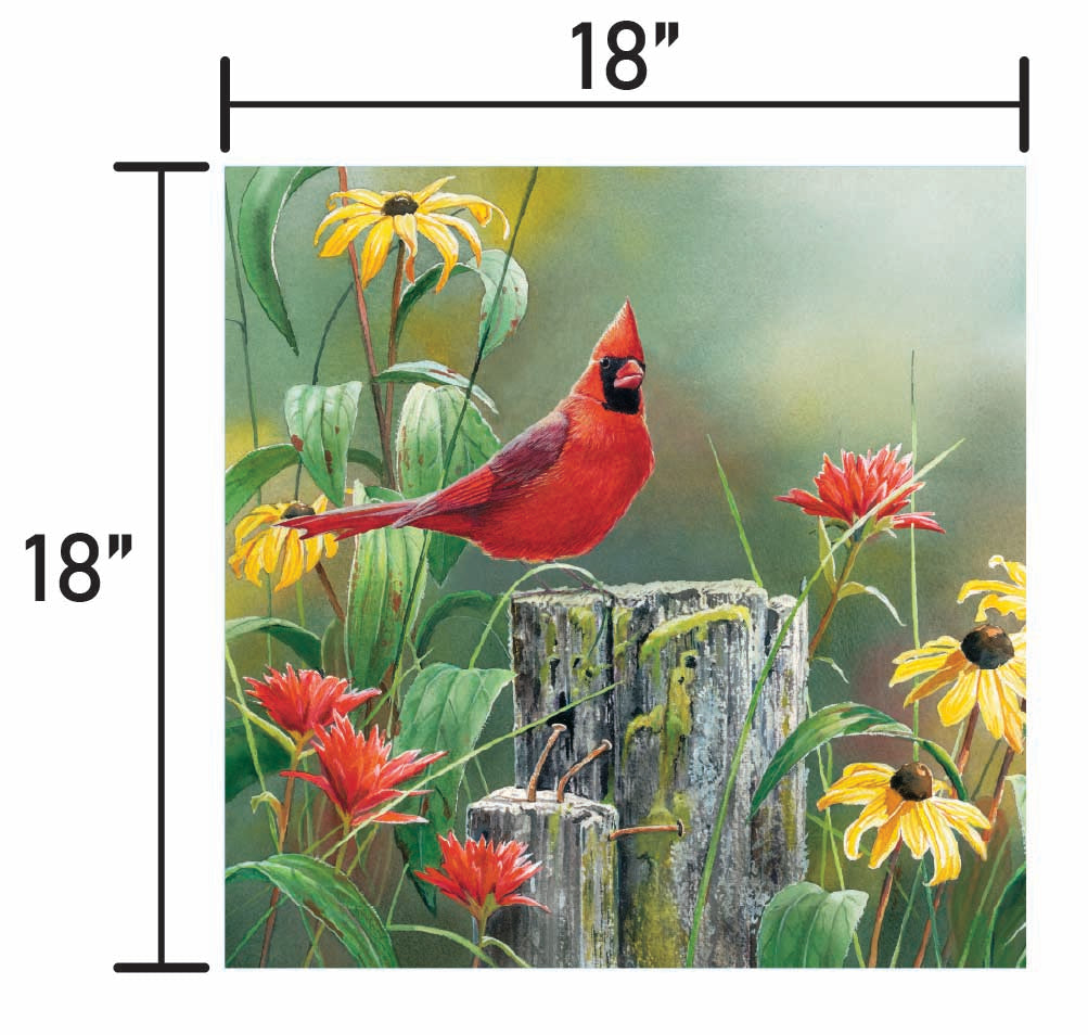 Greeting the New Day Cardinal