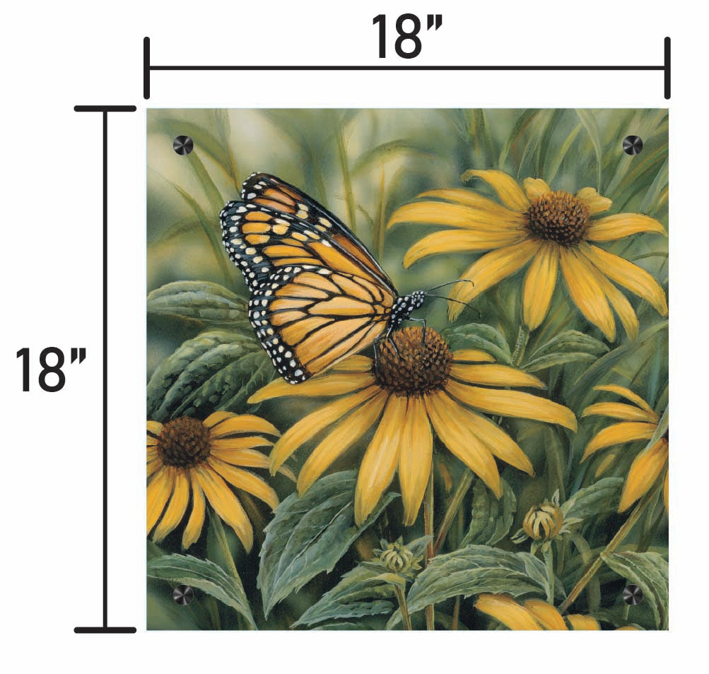 Monarch-Butterfly