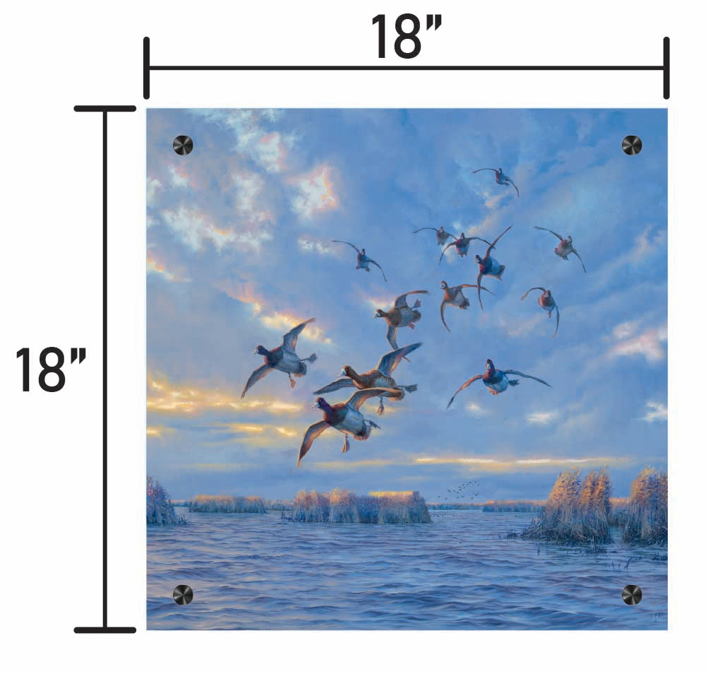 The Straights - Bluebills