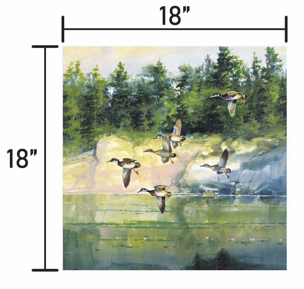 The Woodies-Wood Ducks