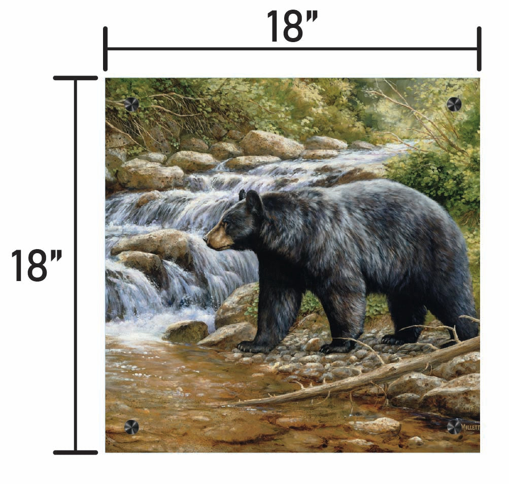 Shadow of the Forest