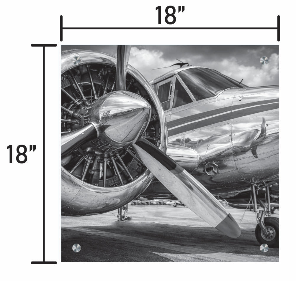 Silver Thunder