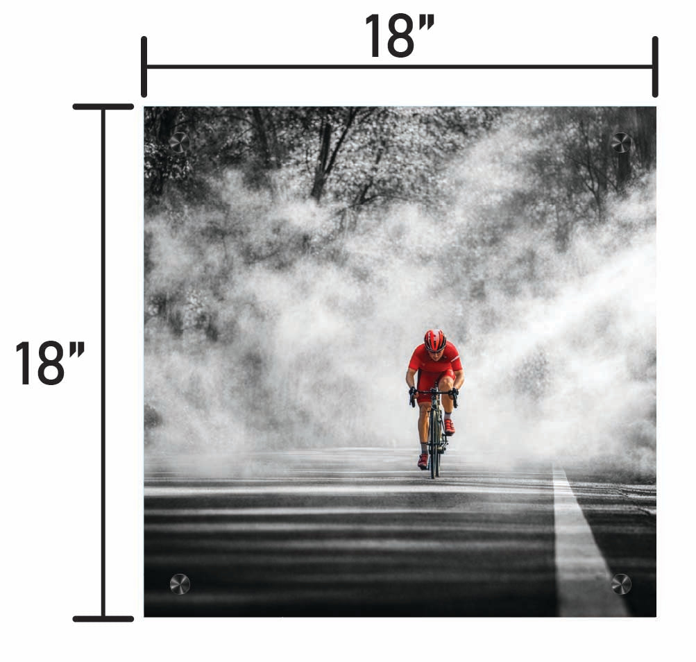 Through the Haze BW