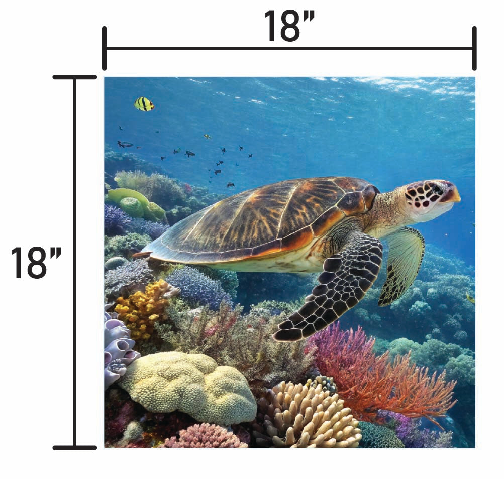 Guardians of the Reef