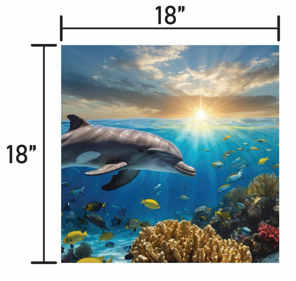 Dolphin Swimming in Coral