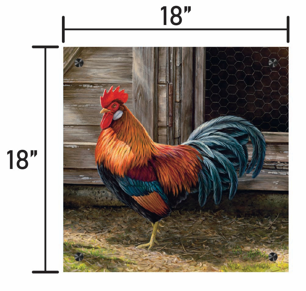 Light Brown Chicken Rooster