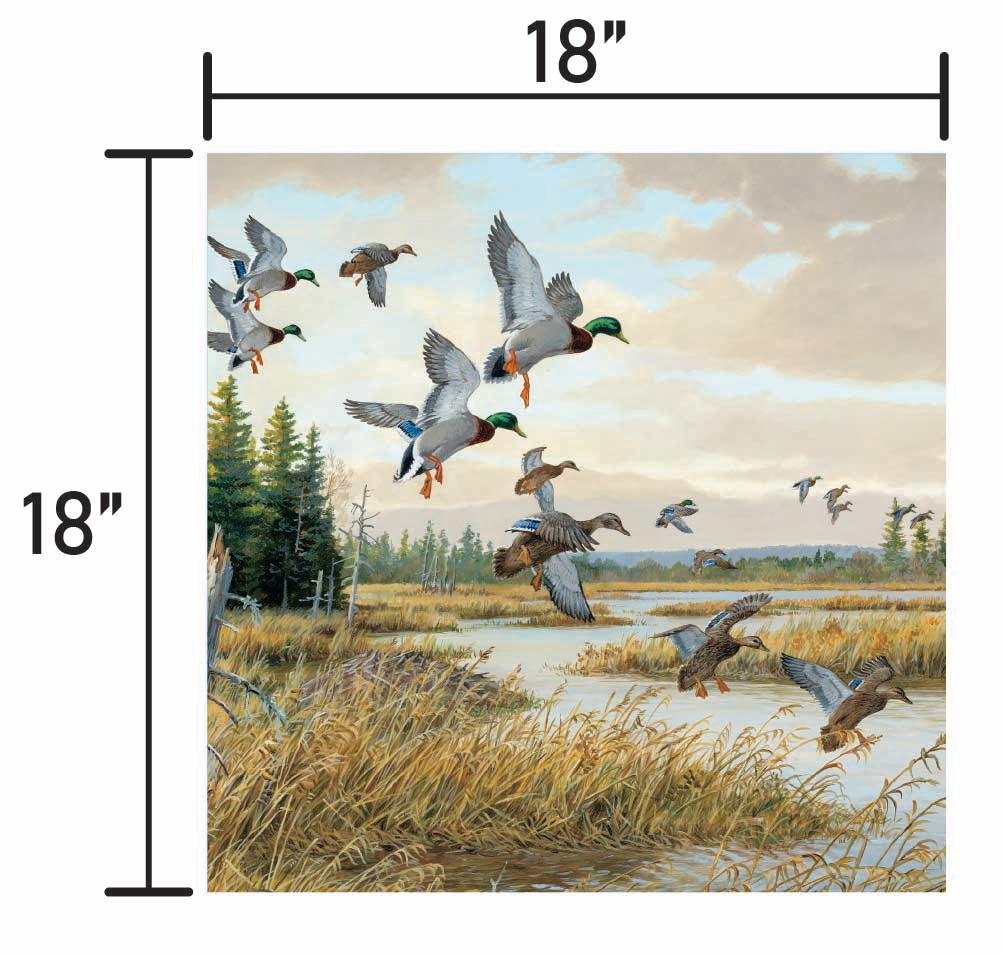 Hidden Pond-Mallards