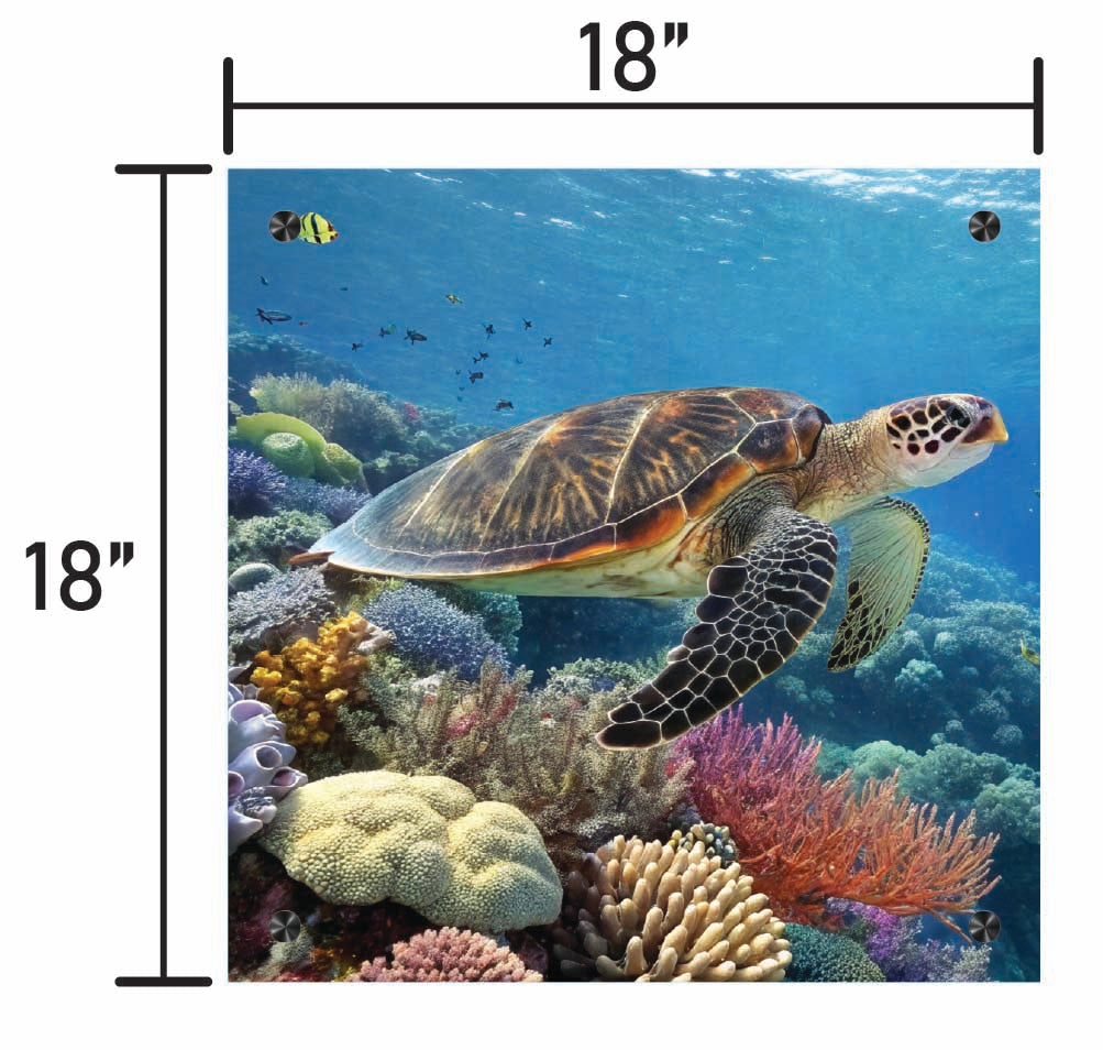 Guardians of the Reef