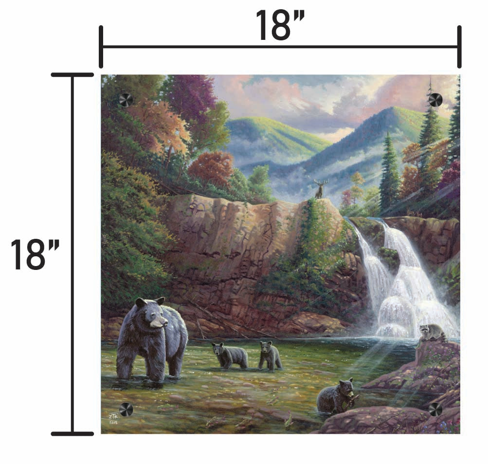 Spirit of the Smokies