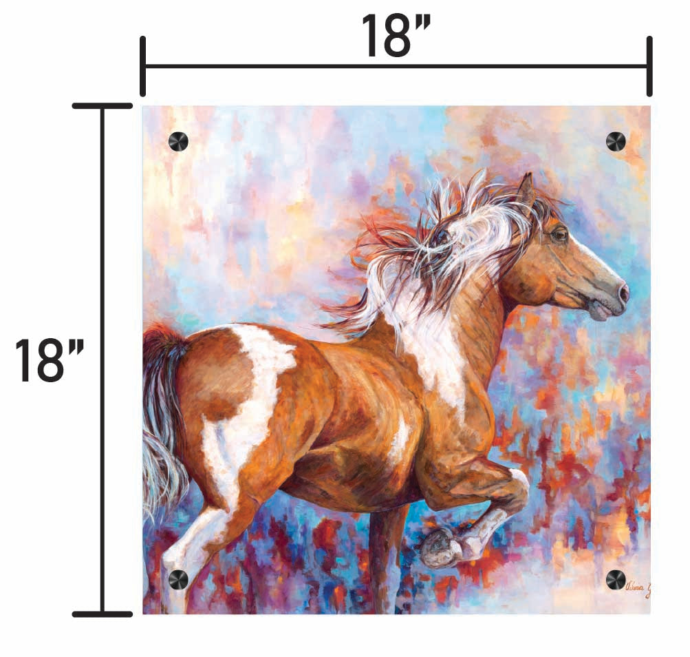 Paint Horse