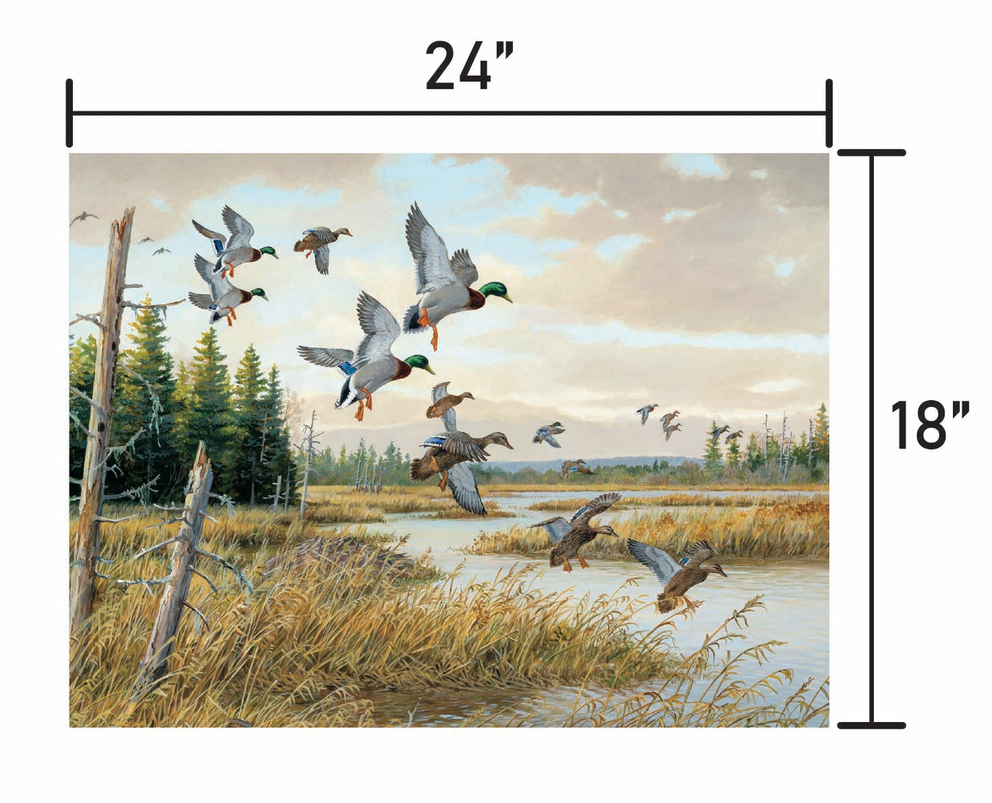 Hidden Pond-Mallards