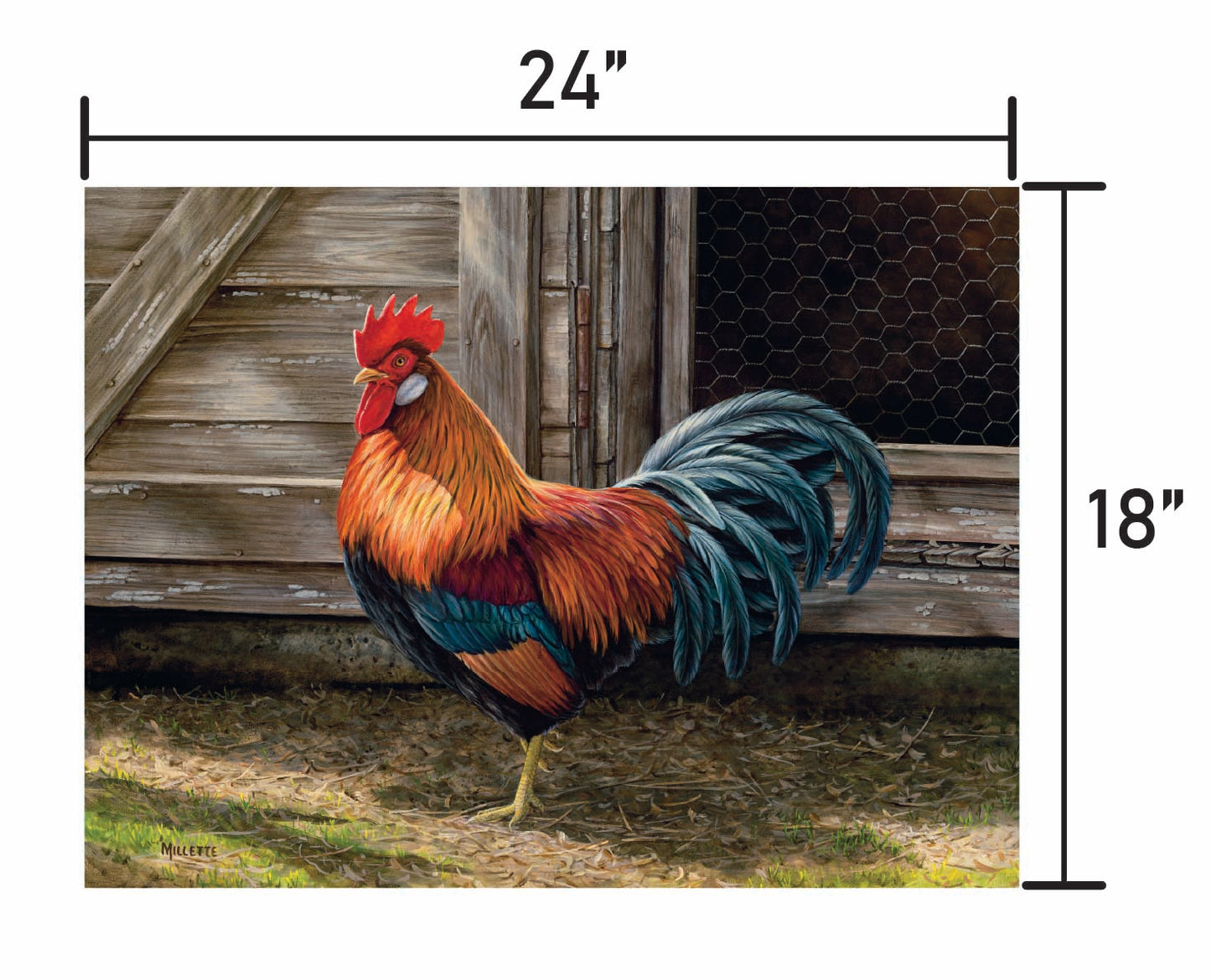 Light Brown Chicken Rooster