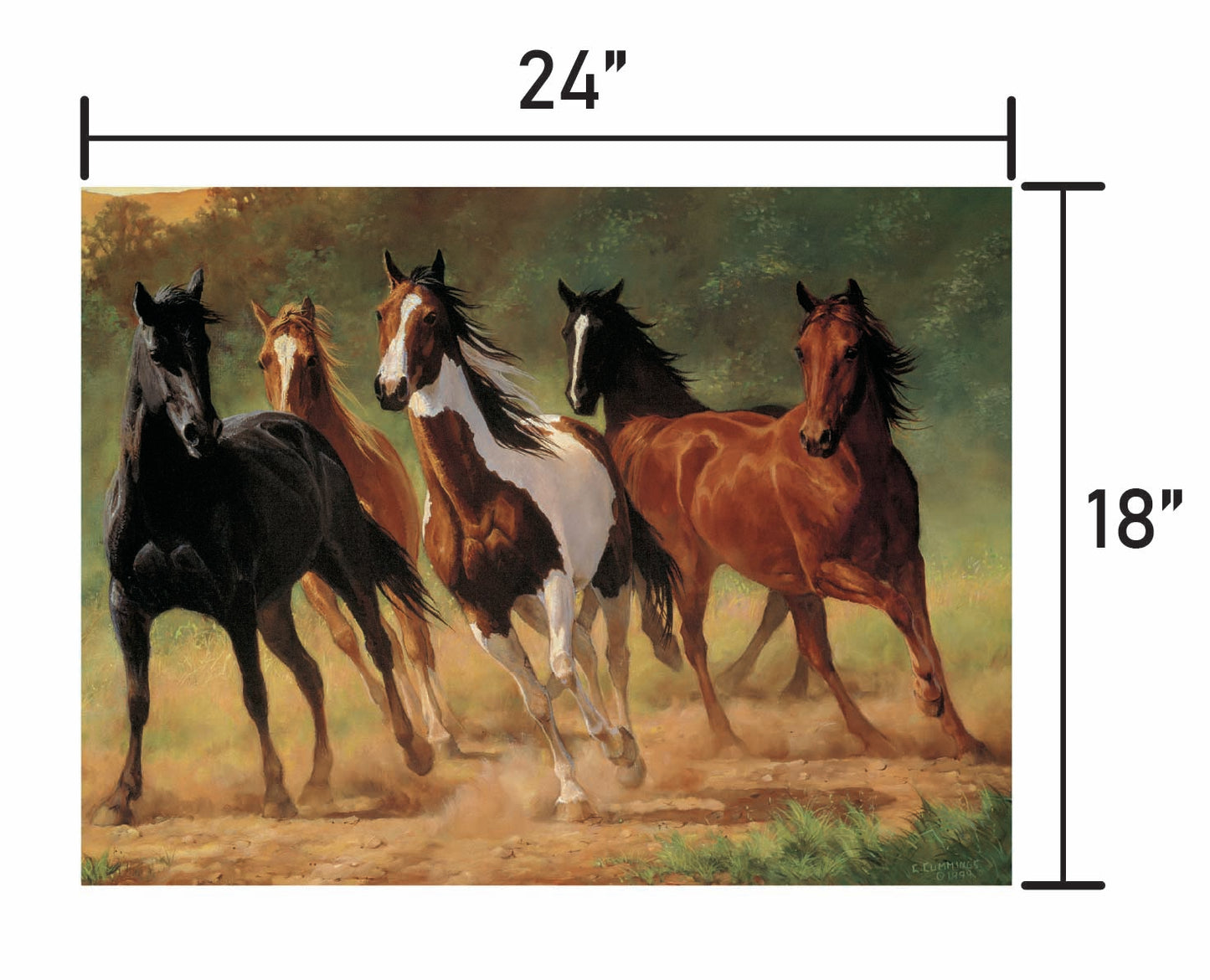 Home Run-Horses