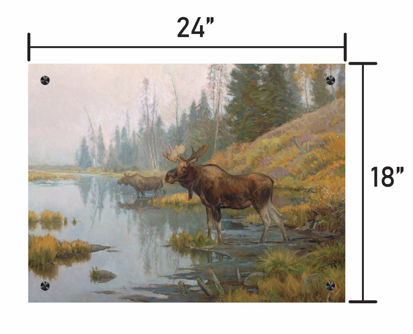 Autumn in Moose Country