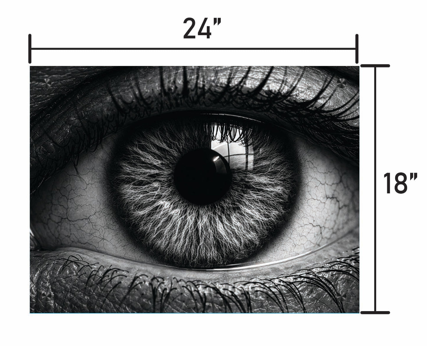 B&W Eye