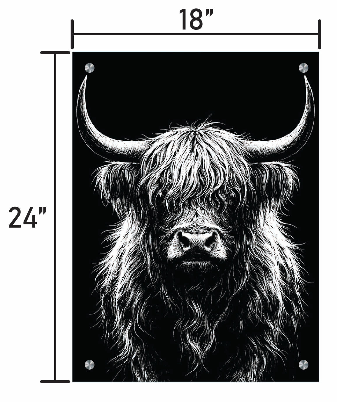 B&W Higlinder Cow 3