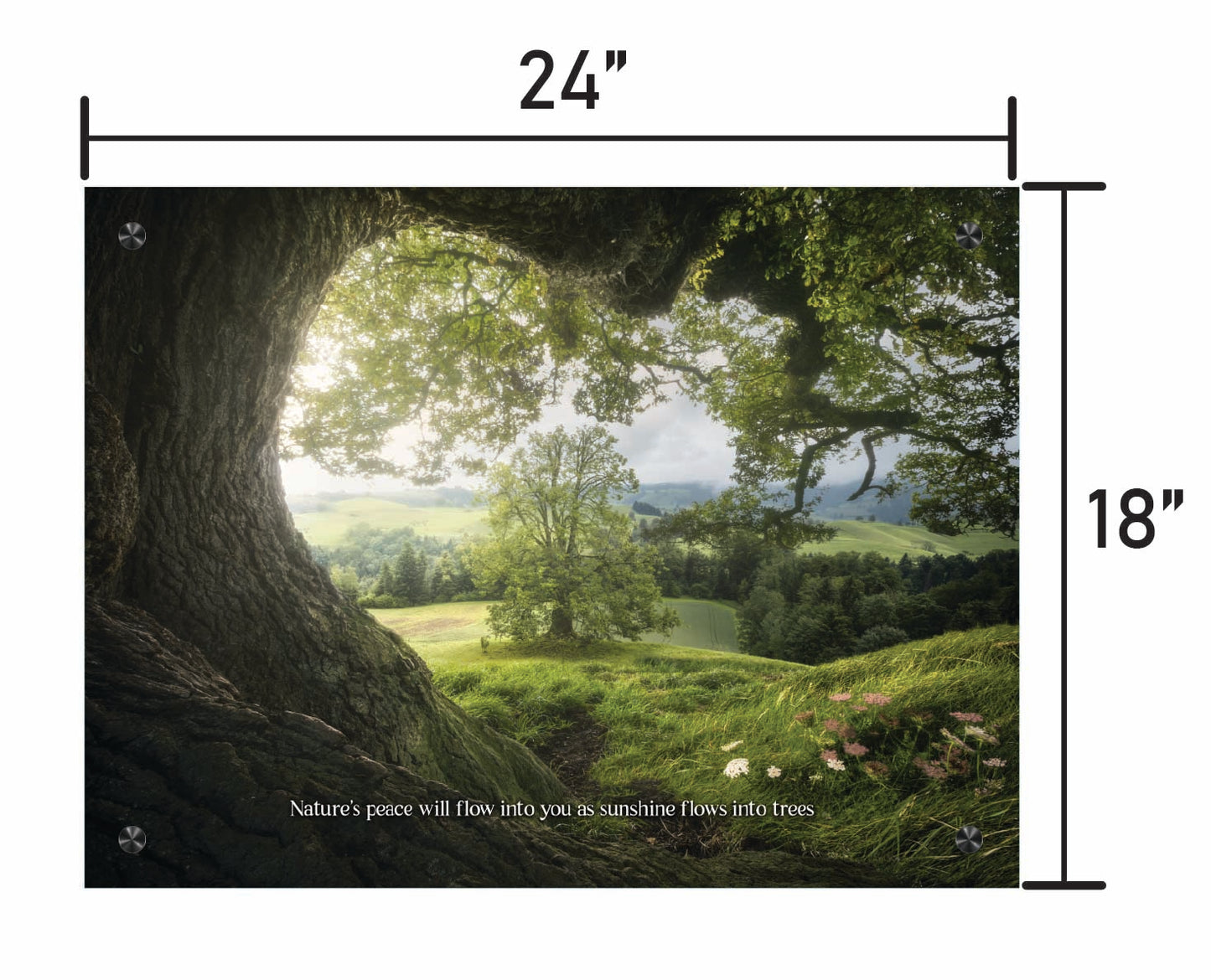 Meadows Edge  w/ Quote