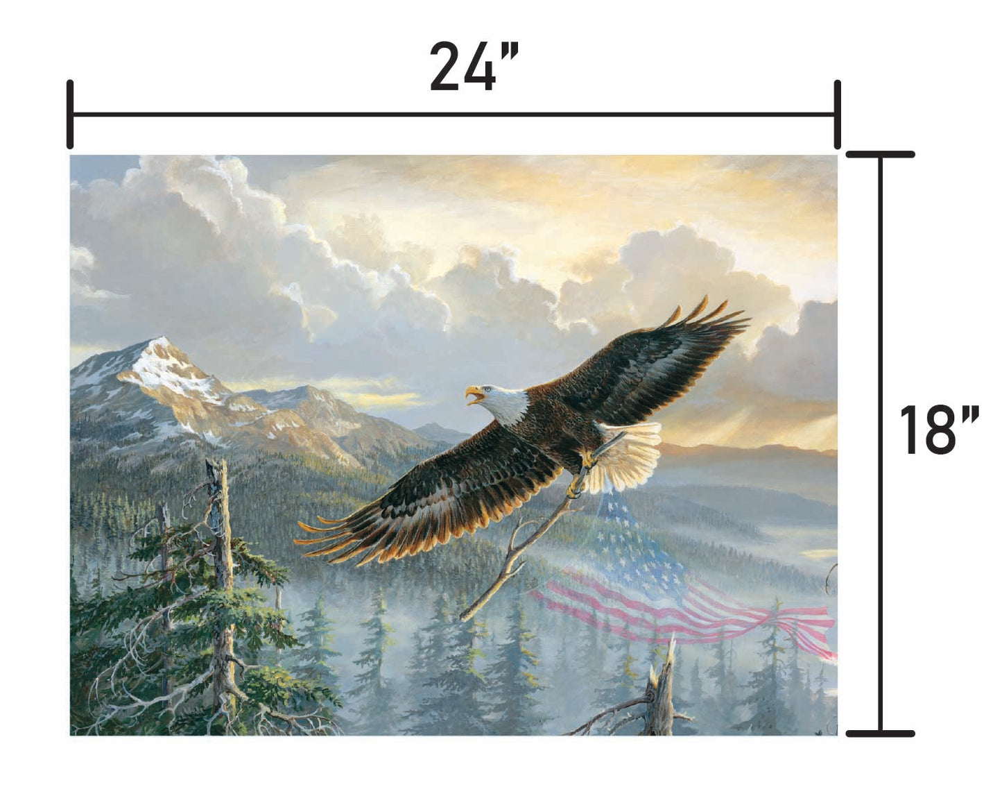 Rebuilding America-Bald Eagle