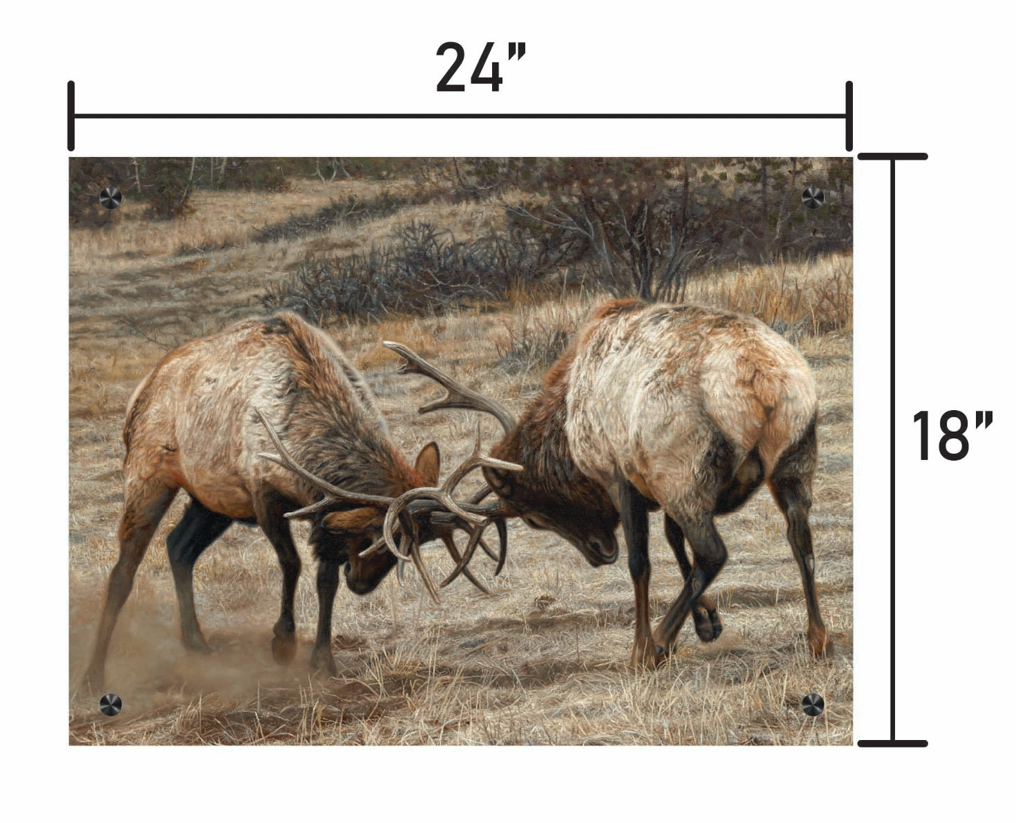 Anything for Love - Elk
