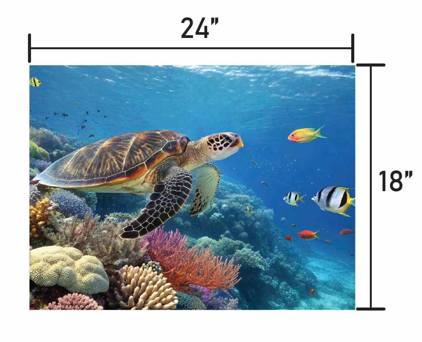 Guardians of the Reef