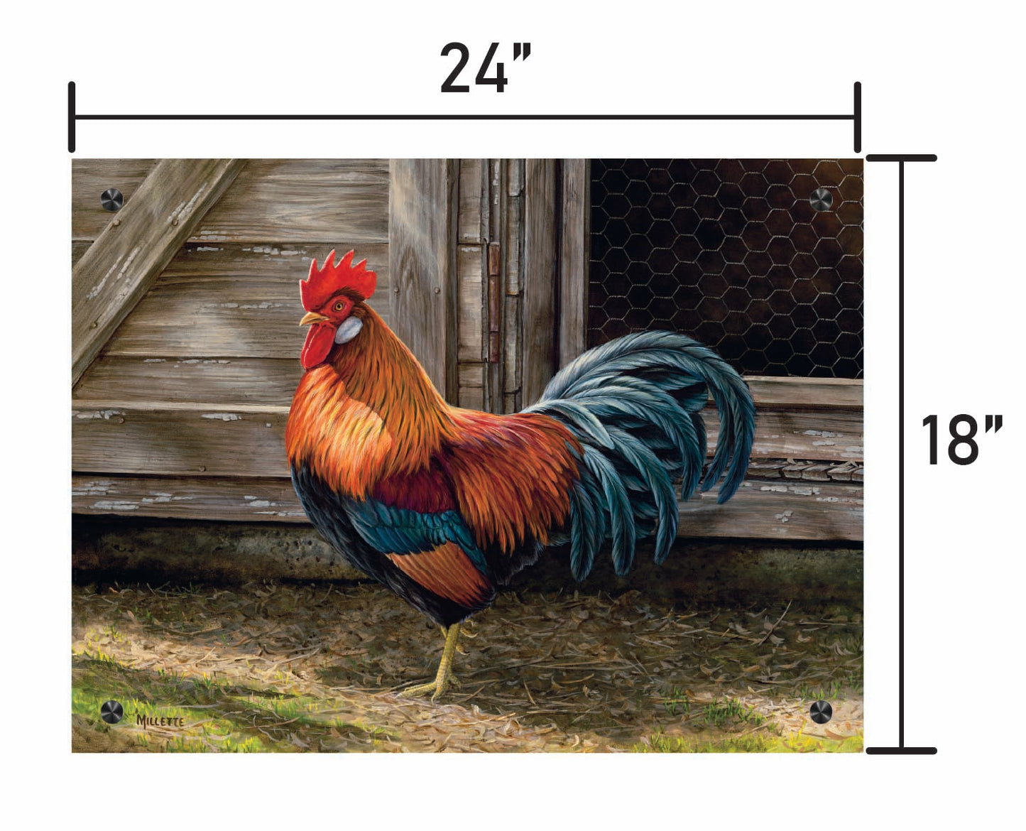 Light Brown Chicken Rooster