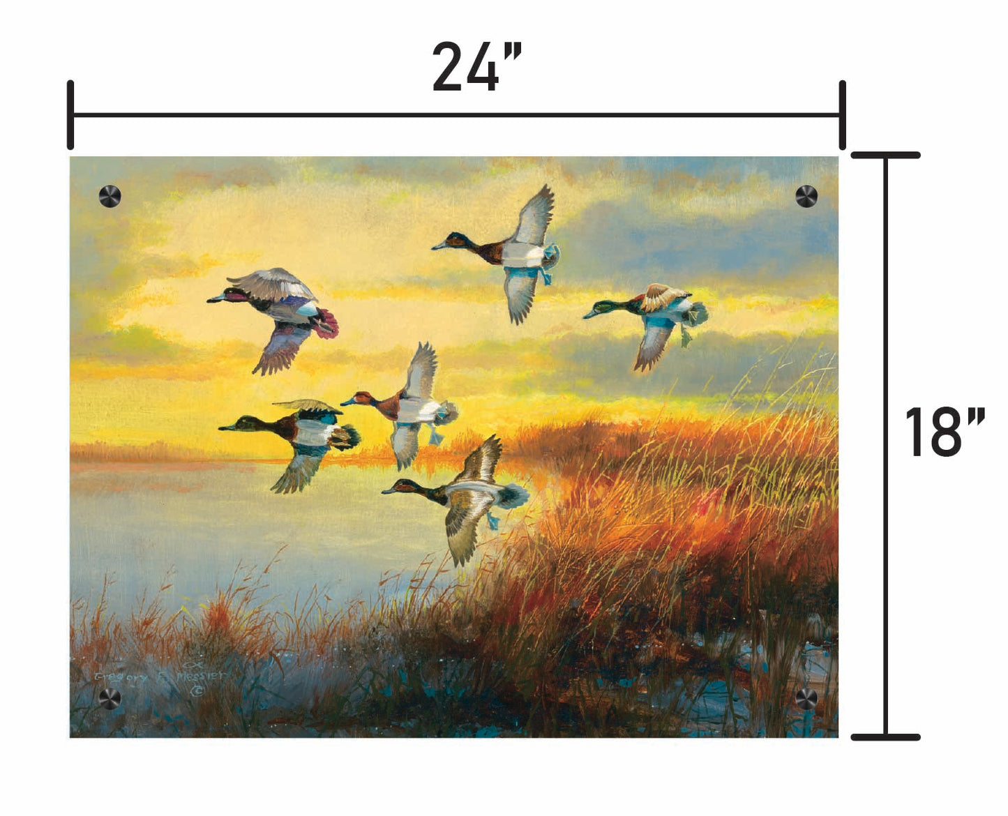 Autumn Sunrise-Bluebills