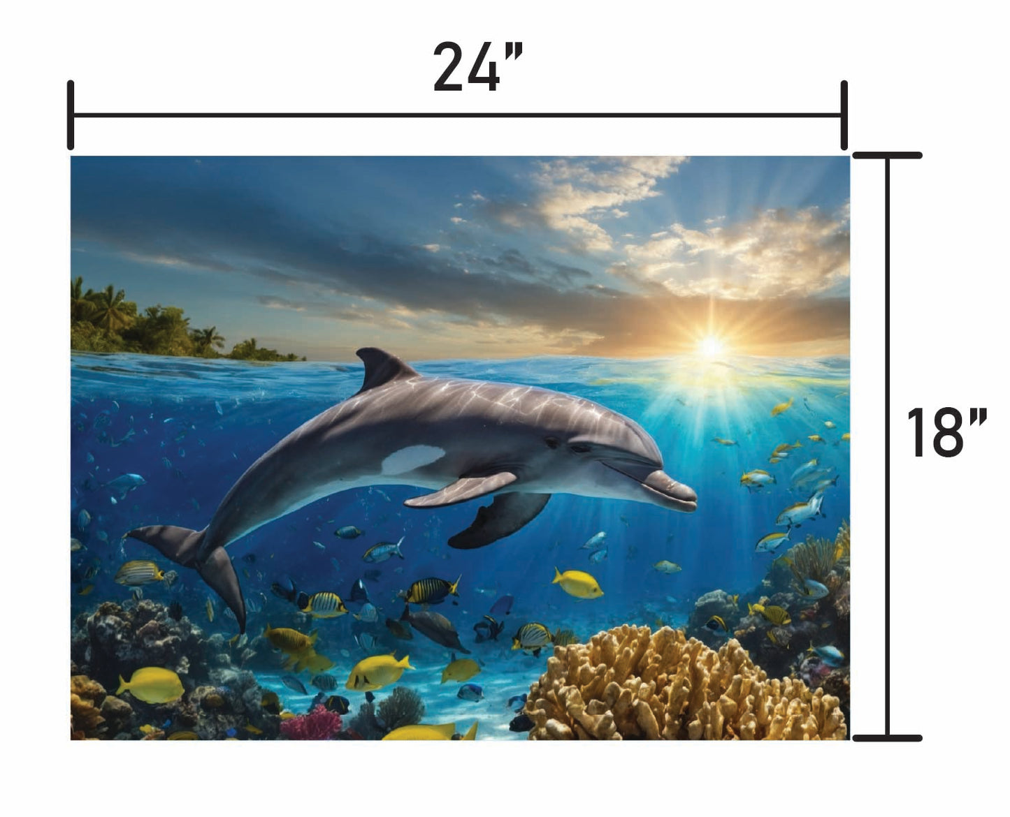 Dolphin Swimming in Coral