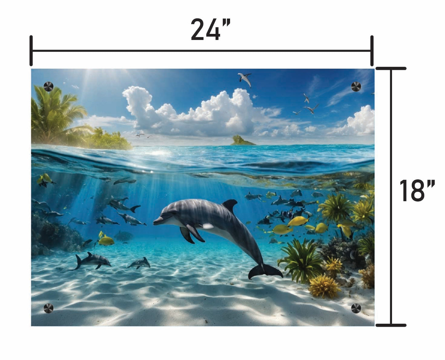 Dance of the Dolphin