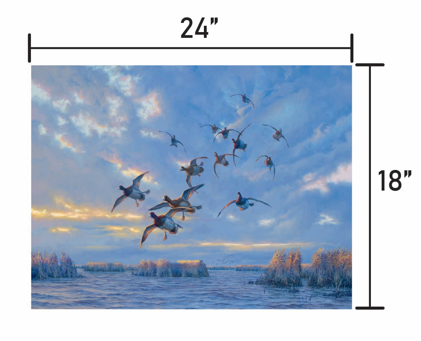 The Straights - Bluebills