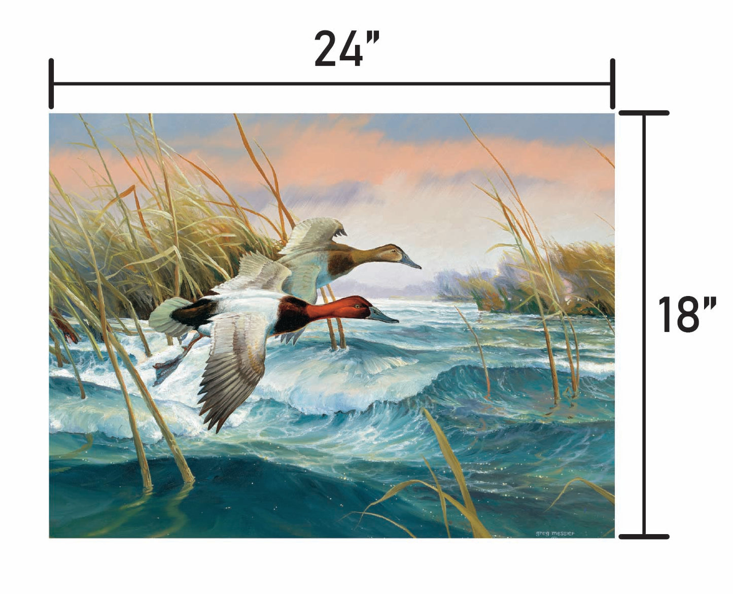Wave Runners-Canvasbacks