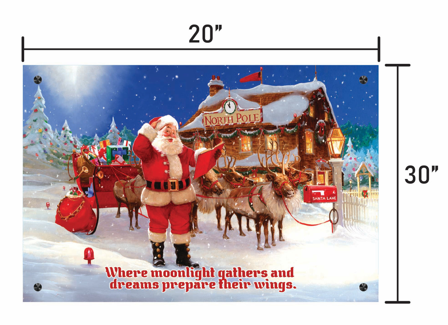 Santa's Midnight Ride