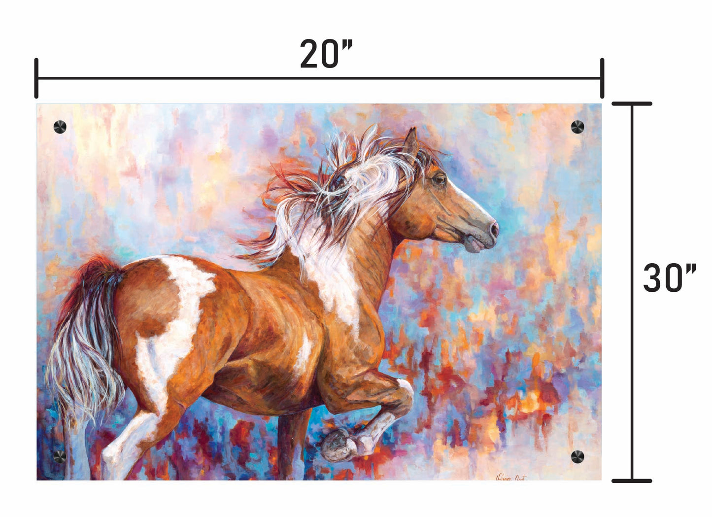 Paint Horse