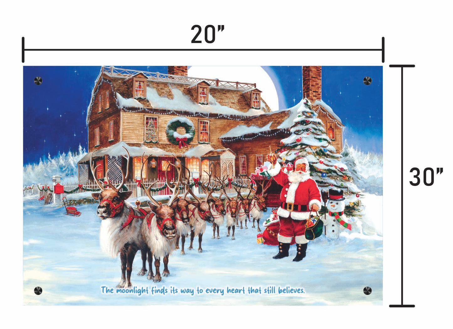 Santa's Moonlit Visit